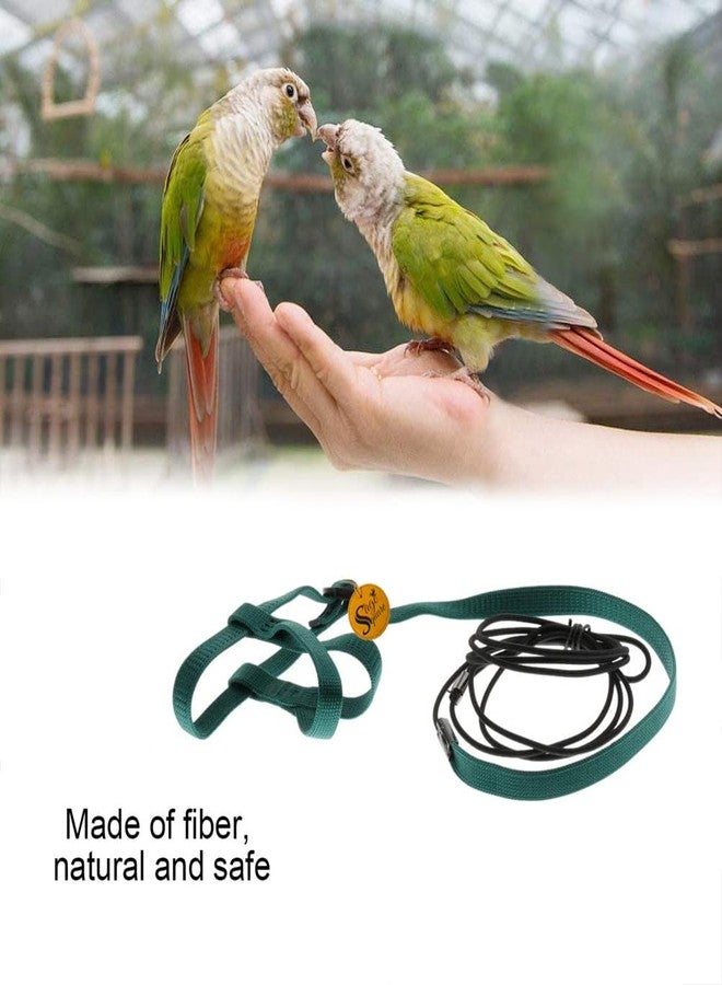 Sage Square Bird Harness Adjustable Durable Reusable Safe Great for Training, Exercise & Playing for Quakers, Senegals, Doves, Medium Parakeets, Rainbow Lorikeets, Rosellas (Random, Extra Small) - Image 4